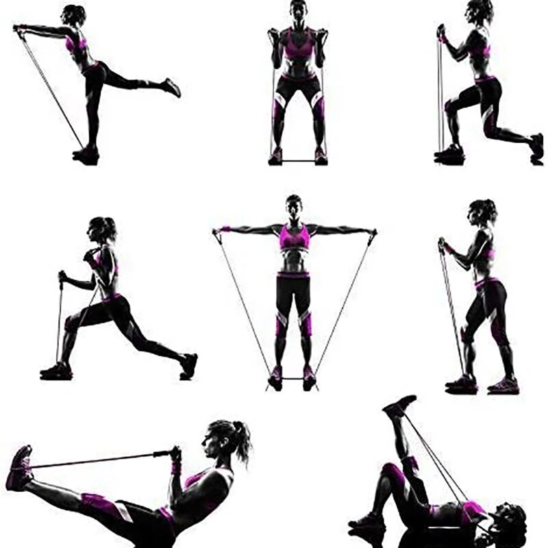 Bandas de resistencia con asas - Sports Equipment Club reseña y precio